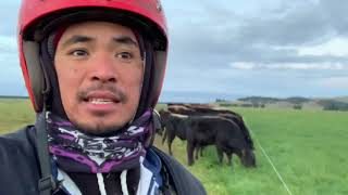 preview picture of video 'Mga Adjustment at pagkakaiba ng Dairy farming sa ibang Jobs sa New Zealand'