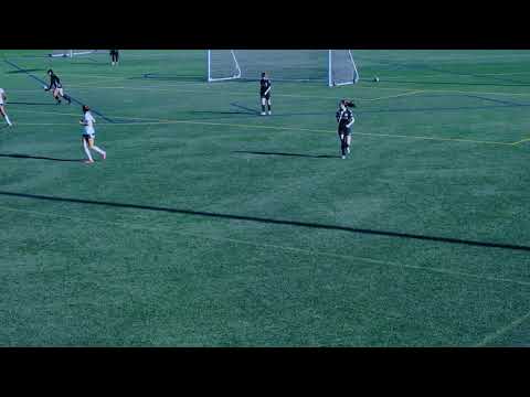 MVLA 06G ECNL GK Highlights vs. SFEA 06 GA