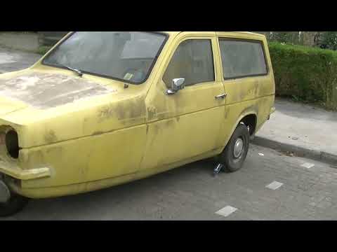 Reliant Robin Estate