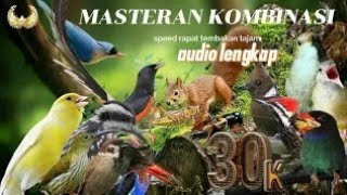 Download lagu SUARA BURUNG MASTERAN KOMBINASI #SIKATANLONDO SPEED RAPET FULL TEMBAKAN!!! mp3