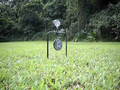 Prairie Hawk-Shooting Bishops - Puerto Rico