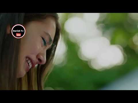 Mehrab & Farzad Shojaei - Alveda Official MV (1080)