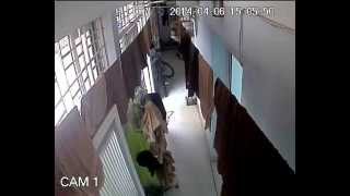 Ăn chộm chim - camera Danh Việt