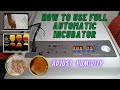 HOW TO USE FULL AUTOMATIC INCUBATOR | 36 EGGS | ADJUST HUMIDITY | TONSKIE TV