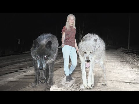 10 SCARIEST Pets People Actually Own!