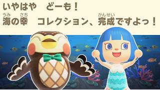 【めざせ博物館コンプリート】寄贈してない海の幸を全部つかまえる【あつ森終われません】