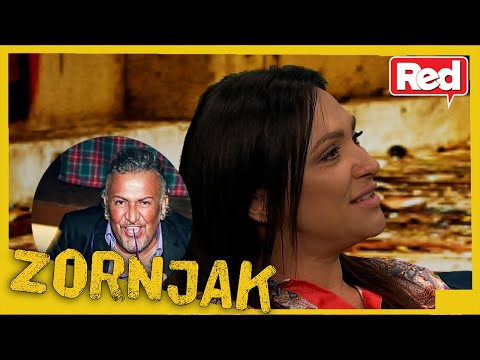 Zornjak - deo 5 - Ljupka Stević o pesmi "Delo" - 28.04.2021 - Red TV