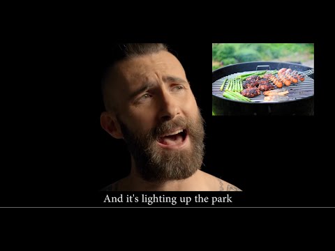 Maroon 5 - Memories Parody ( Salaries )