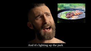 Download lagu Maroon 5 - Memories Parody ( Salaries ) mp3