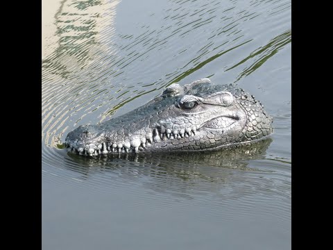 Крокодил Радиоуправляемый катер Stemkid Flytec V005