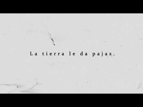 Poemas Edith Vera | Pajarito - Maria Teresa Andruetto