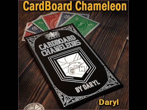 Voir la vidéo Cardboard Chameleons - Daryl