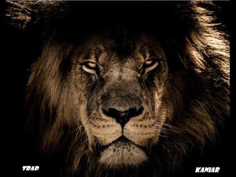 Mystère Valentinik freestyle#1