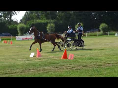 Fahrturnier Dörenthe 12.6.2022