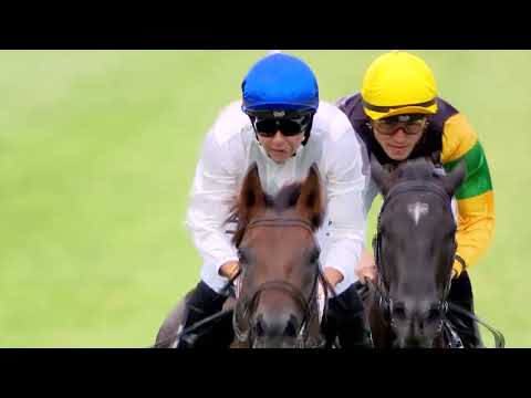 Levin Classic 2025 - SAVAGLEE (3YO SW G2) Group 2 Trentham NZ 11 January