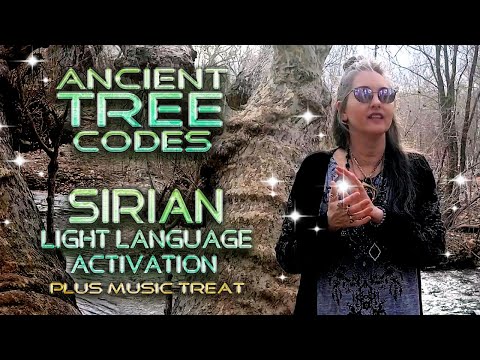 Sirian Guardian Light Language Ancient Tree Codes Activation With Lightstar