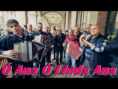 Ó Ana Ó Linda Ana - Concertinas em Braga