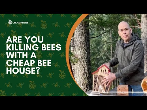 Are You Killing Bees with a Cheap Bee House?