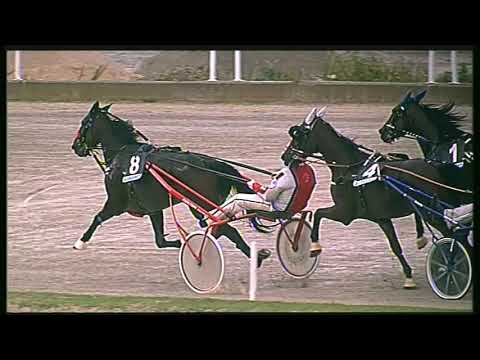 Trotto 16/10/2020 - 4ª corsa