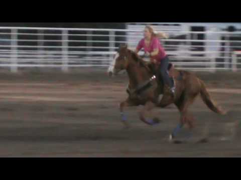 Shelby & Gator - 06/02/2016