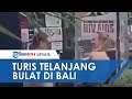 Viral Video Turis Wanita Telanjang Bulat Di Depan Umum Di Bali Teman Wanitanya Malah Sibuk Memfoto