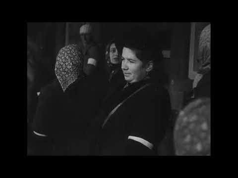 Osidlujeme pohraničí