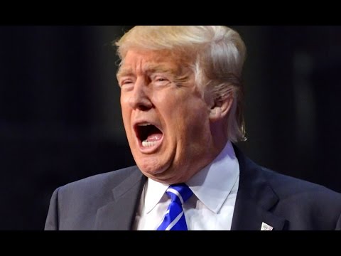 SALVEI O PRESIDENTE DONALD TRUMP! [Fox] - Mr President