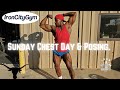 SUNDAY WORKOUT (CHEST + SHOULDER).