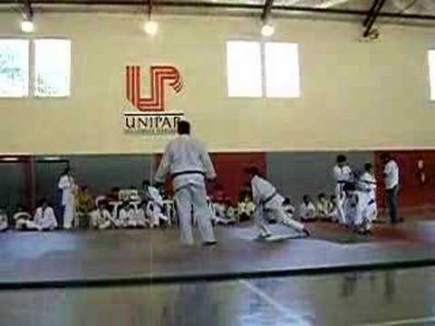 IPPON - MATHEUS PADILHA