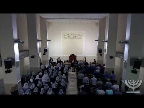 2019-09-22 Domenica Sera - Fr Gemelli - ATTI cap 11 verso 13-15