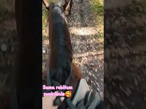 dziś znowu byłam na jeździe i 1 raz jeździlam na Dyziu🩷 git konik ale strasznie wybija #horse