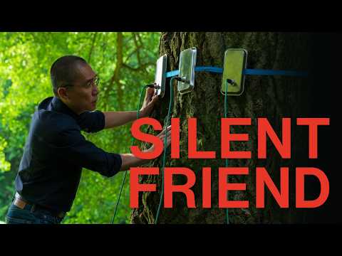 Silent Friend