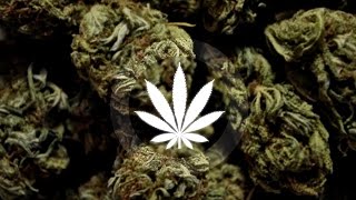 SkyBlew - Nefelibata