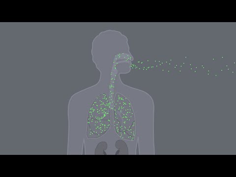 Where does TCE go in the body? - Elimination