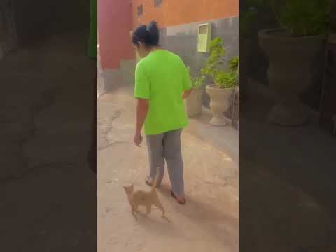 ❤️‍🔥😹😹❤️‍🔥