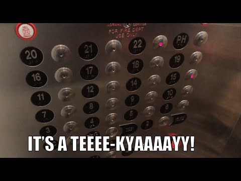 ThyssenKrupp Traction Elevators - Hotel 48LEX in New York, NY