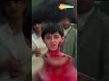 Rishta Dilon Ka Tode Na Toote Jaanwar Akshaykumar Shilpashetty Ytshorts Viralshort Shorts
