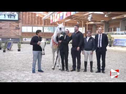 Best in Show Male - N.97 AJA Angelo