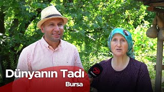 Dünyanın Tadı - Bursa | 9 Ağustos 2025