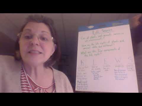 End of Lesson Mimi Lesson 4 30 2020