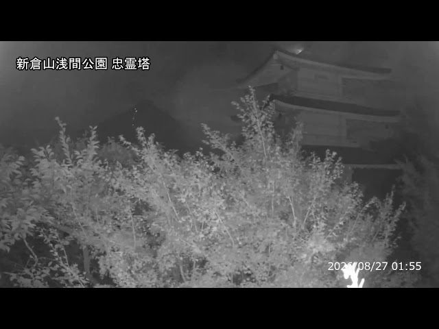 新倉山 浅間公園の忠霊塔と富士山