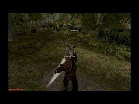 Gothic 2 DNDR Walkthrough German (no commentary) - 126 - Die Banditenrüstung, Auf in den Sumpf