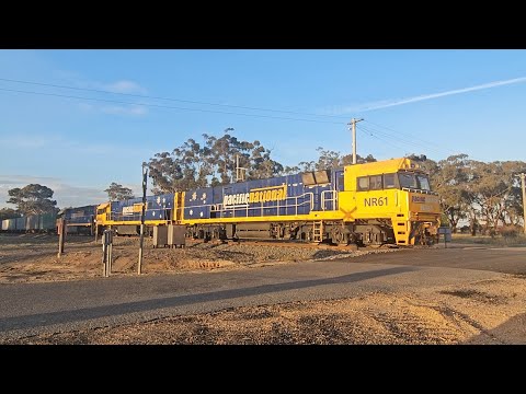 3PM6 PN up "Linfox Express #3" (NRs 61 96 59, 80P), Perth to Melbourne, 2010, 12/12/25, Wal Wal VIC