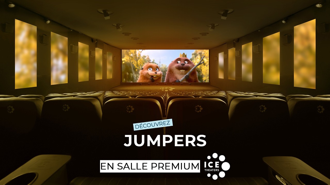 Aperçu : Jumpers