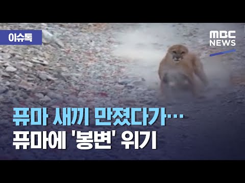 아이콘