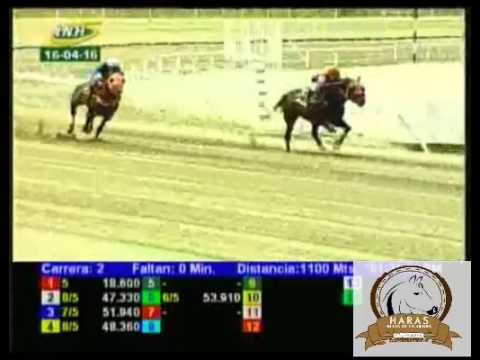 LA RINCONADA 2 CARRERA, SABADO 16 DE ABRIL DEL 2016