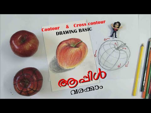 Start drawing(Part -10) Contour & cross contour line | Malayalam | How to draw & color an apple |