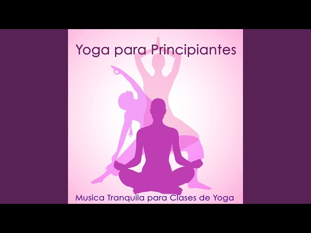 Vídeo relacionado con QUXVUIS Anillo de Yoga para Mujeres y niñas, Círculo Mágico de Fitness Ajuste Universal, Ligero y portátil Primera Calidad para Entrenamiento físico, Negro