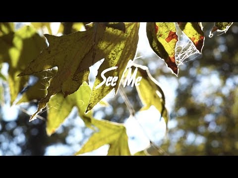 Ka'ron - See Me (Music Video)