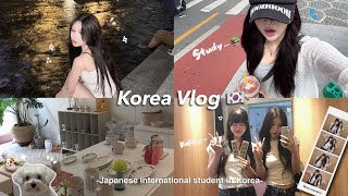 【vlog】韓国留学中の日本人の日常VLOG🇯🇵🏠韓国ドラマ有名スポットや可愛い雑貨屋さん紹介…🐇🛋🧺